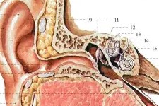 瀵屽＋鏂戒箰s2110椹卞姩-九游登录中心