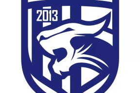 中超赛前走向成谜，上海申花扳平良机，压力陡增，赛季目标并未改变的简单介绍-九游会登入